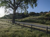 the road is surrounded by grassy hills and trees and the road has wooden fence, along with the tree lined dirt path