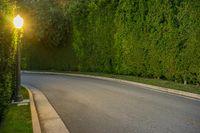 California Road in Los Angeles with Hedge