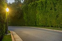 California Road in Los Angeles with Hedge