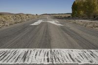 California Road in Low Desert - 002