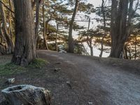 California Road: Embracing Nature Under a Clear Sky