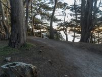 California Road: Embracing Nature Under a Clear Sky