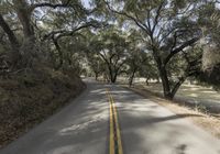 the asphalt road has yellow stripes on it and trees on both sides of it on either side