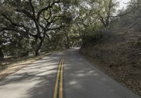 the asphalt road has yellow stripes on it and trees on both sides of it on either side