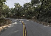 the asphalt road has yellow stripes on it and trees on both sides of it on either side