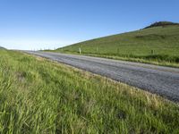 an empty road with a single lane through tall grass and a hill on the other side