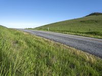an empty road with a single lane through tall grass and a hill on the other side