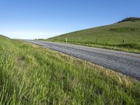 an empty road with a single lane through tall grass and a hill on the other side