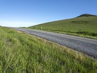 an empty road with a single lane through tall grass and a hill on the other side