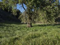 California Road Through Rural Landscape