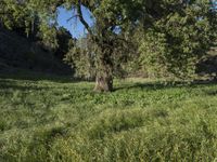 California Road Through Rural Landscape