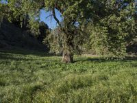 California Road Through Rural Landscape