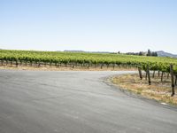 California Road Travel: A Picturesque Landscape Under a Clear Sky