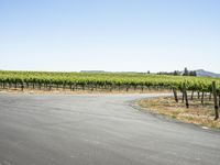 California Road Travel: A Picturesque Landscape Under a Clear Sky