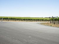 California Road Travel: A Picturesque Landscape Under a Clear Sky