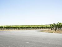 California Road Travel: A Picturesque Landscape Under a Clear Sky