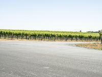 California Road Travel: A Picturesque Landscape Under a Clear Sky