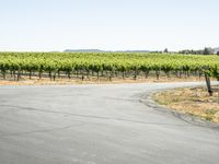 California Road Travel: A Picturesque Landscape Under a Clear Sky