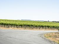 California Road Travel: A Picturesque Landscape Under a Clear Sky