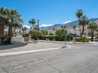 palm trees line a quiet street surrounded by mountains and palm trees are visible on the mountains