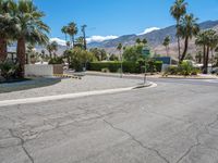 palm trees line a quiet street surrounded by mountains and palm trees are visible on the mountains