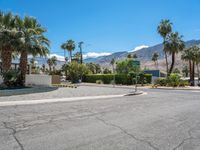 palm trees line a quiet street surrounded by mountains and palm trees are visible on the mountains