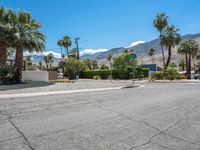 palm trees line a quiet street surrounded by mountains and palm trees are visible on the mountains