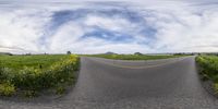 an image taken with a fish - eye lens as it travels down the road in front of wildflowers