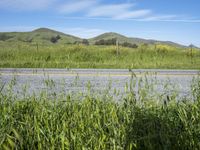 California Road in the USA