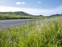 a car sits on the roadside beside a field of grass with hills and valleys behind it