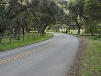 a paved roadway in the middle of a grassy green field near a forest with trees