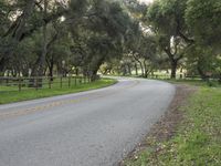 a paved roadway in the middle of a grassy green field near a forest with trees