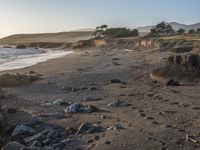 a grassy field by the shore and a cliff with rocks in the ocean in the background