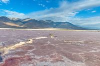 a rocky body of water near mountains and rocks in a vast area, with purple and green colors