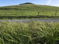 California's Rural Landscape: Green Pastures and Lush Fields