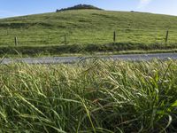 California's Rural Landscape: Green Pastures and Lush Fields