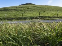 California's Rural Landscape: Green Pastures and Lush Fields