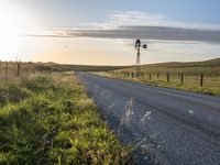 a lone cow stands in the distance next to an asphalt road and grassy area with windmills