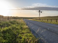 a lone cow stands in the distance next to an asphalt road and grassy area with windmills