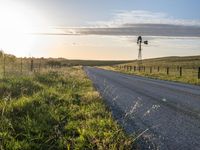 a lone cow stands in the distance next to an asphalt road and grassy area with windmills