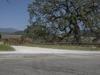 this is an image of the entrance to a ranch gate on the side of the road