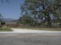 this is an image of the entrance to a ranch gate on the side of the road