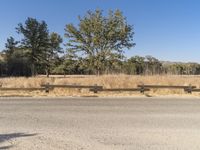 California Rural Road With Trees and Open Fields