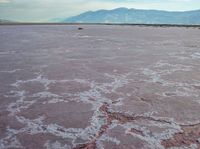 a red river with pink colored surface and mountains in the distance against a blue sky