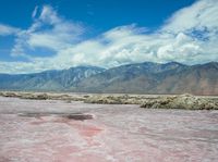 this pink lake is the only place where salt has cooled over in time for its color