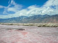 this pink lake is the only place where salt has cooled over in time for its color