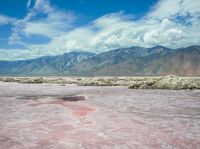 this pink lake is the only place where salt has cooled over in time for its color