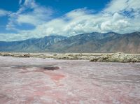 this pink lake is the only place where salt has cooled over in time for its color