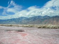 this pink lake is the only place where salt has cooled over in time for its color