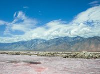 this pink lake is the only place where salt has cooled over in time for its color